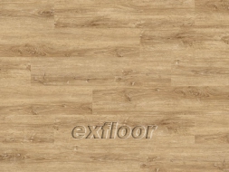 HALK OAK